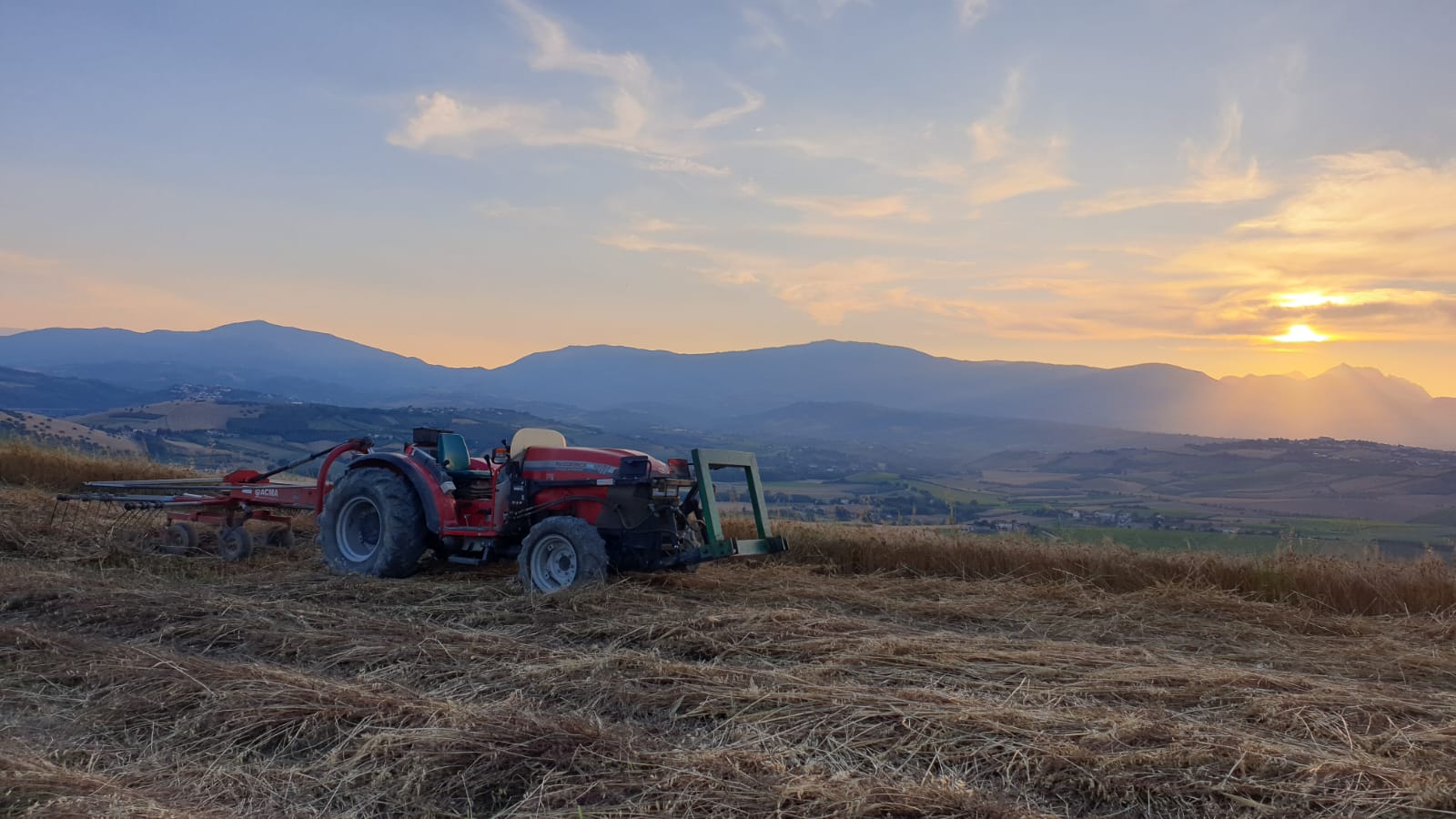 Az. agricola giancaterino abruzzo
